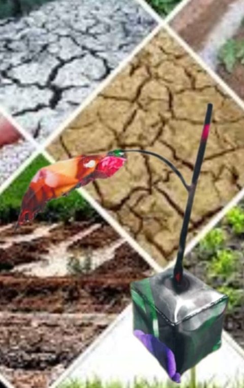 Save the Soil with Art